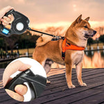 LED Flashlight Pet Dog Leash Lead