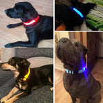Pet LED Night Safety Collar